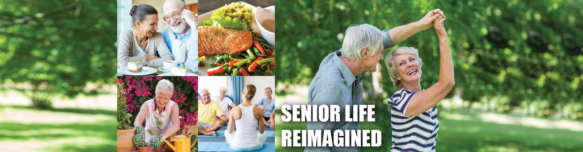 assisted-living-memory-care-aravilla-clearwater-seniors Assistd Living and Memory Care Facility Araviall Senior Living Options